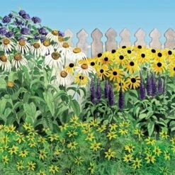 Butterfly Paradise Pre-Planned Cottage Garden -High Country Gardens Sales 99525 butterfly paradise cottage garden 2 1