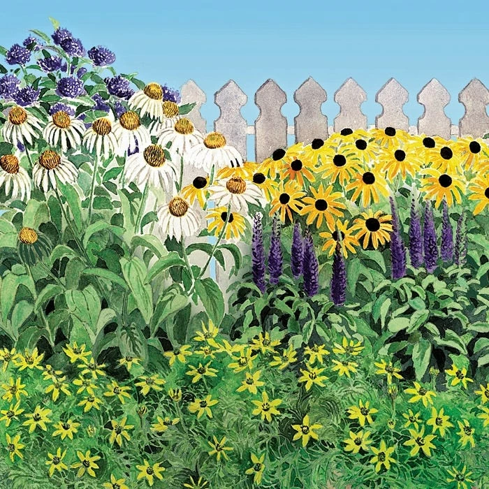 Butterfly Paradise Pre-Planned Cottage Garden - Image 2