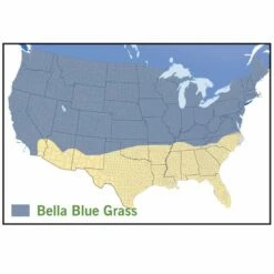 Bella™ Bluegrass Grass Plugs -High Country Gardens Sales bella blue grass map