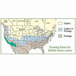 Prestige™ Buffalo Grass Plugs -High Country Gardens Sales buffalo grass map usa 2
