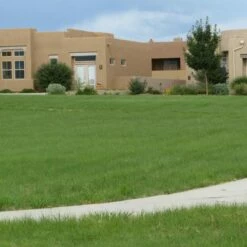 High Country Gardens Sales -High Country Gardens Sales hachita grama lawn 27056 1