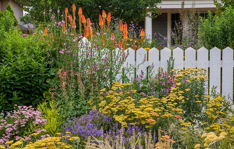 High Country Gardens Sales 26 High Country Gardens Sales -High Country Gardens Sales hcg plant finder cat banner mobile 1