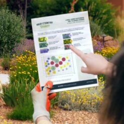 Butterfly Paradise Pre-Planned Cottage Garden -High Country Gardens Sales hcg ppg map sample 1